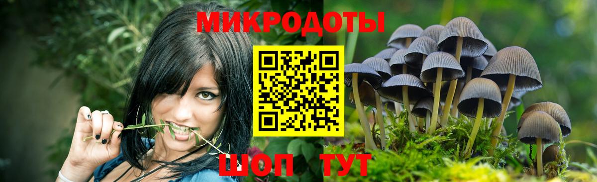 Псилоцибиновые грибы Magic Shrooms  Вход с VPN  Ахтубинск 